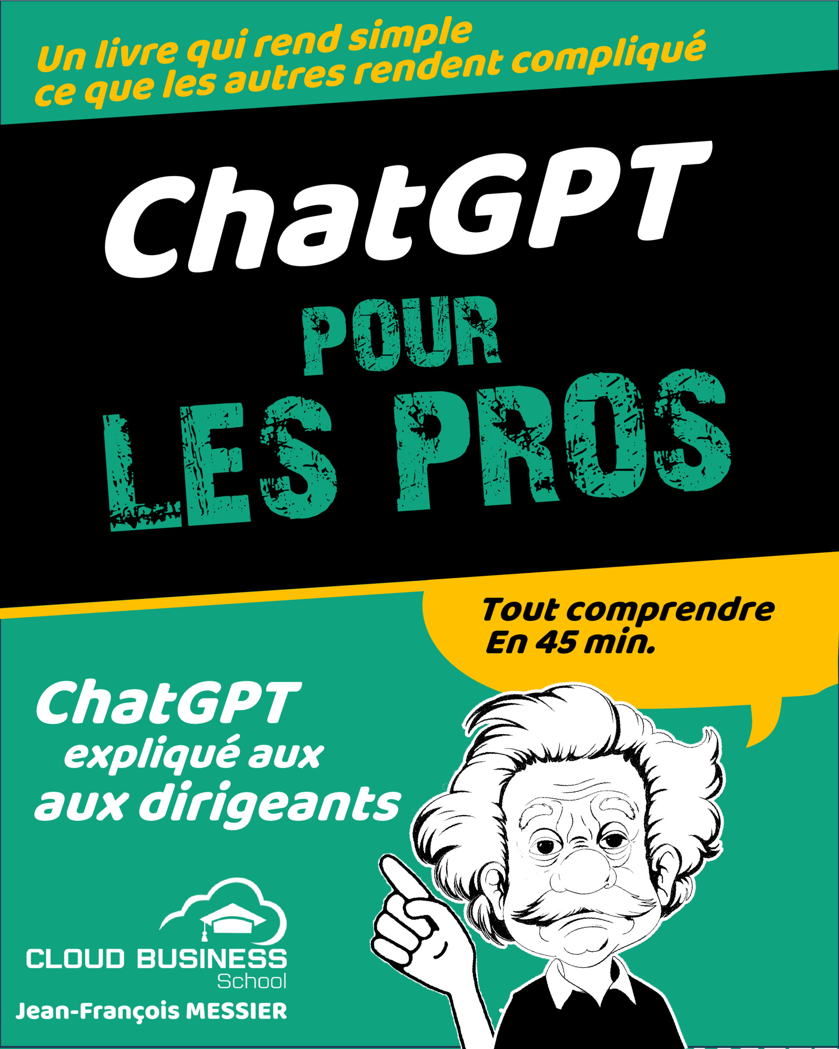 Aperçu : Chat GPT Pour Les Pros